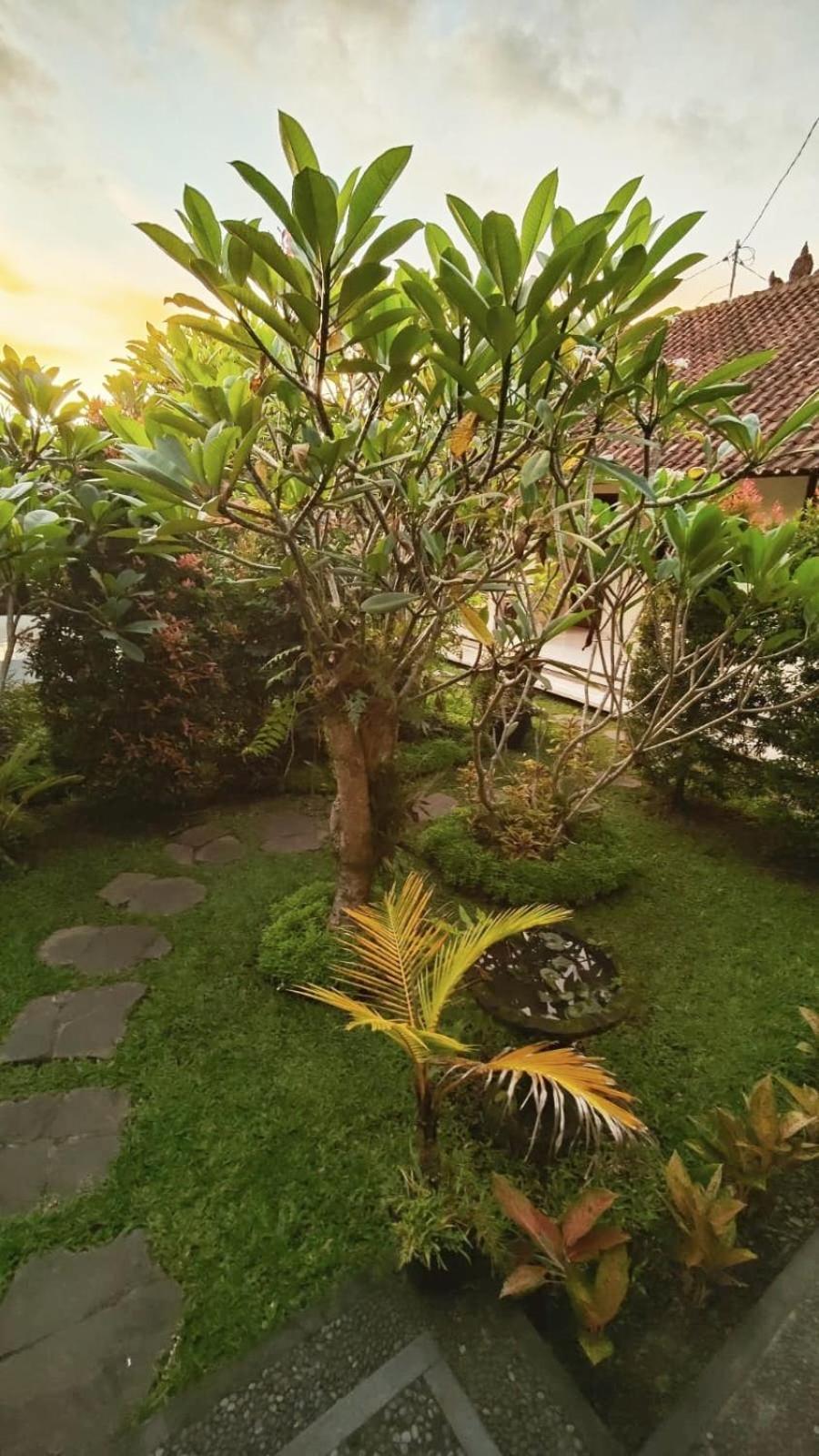 Privatunterkunft Cucu House Ubud